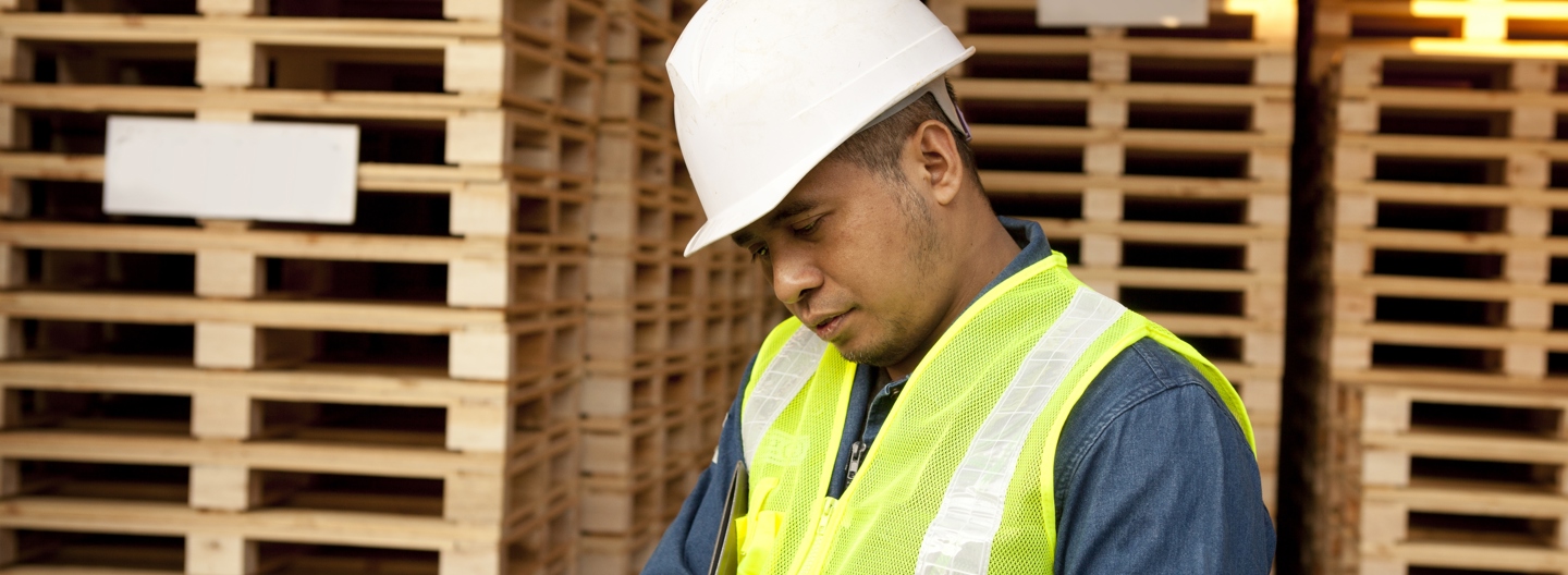 Pallethandel verzekeren